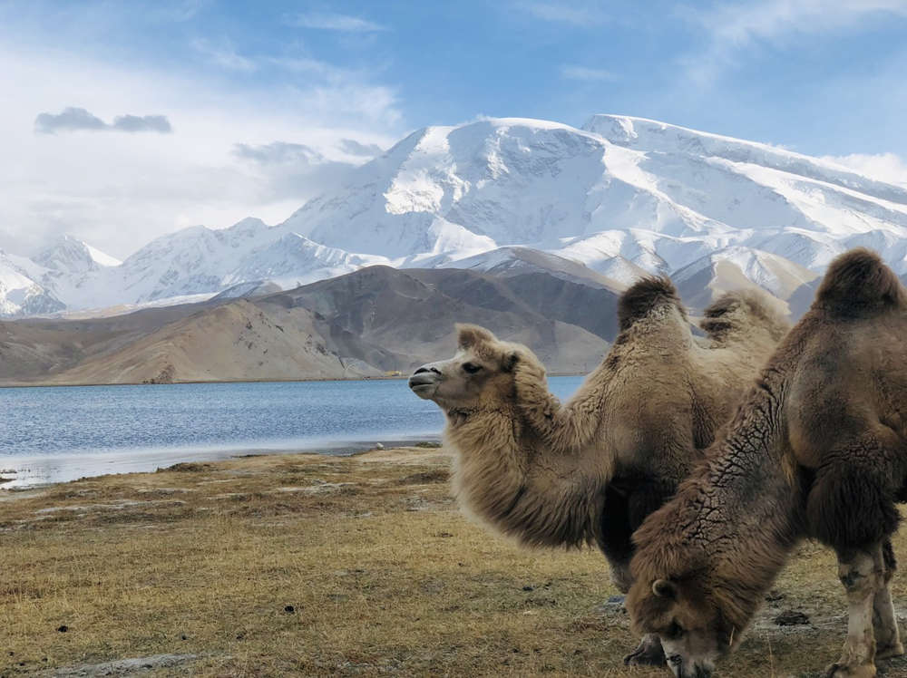 Silk Road tour with Karakul Lake