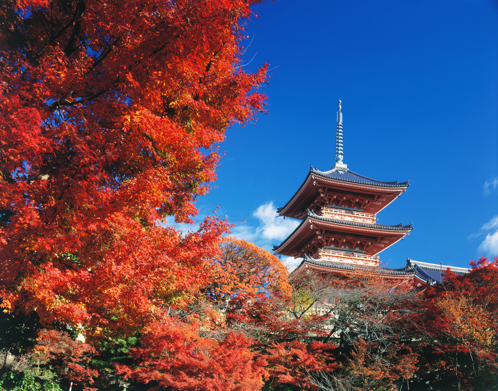 Kiyomizu-dera