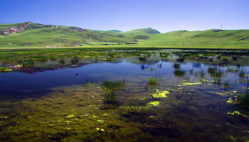 China Tibetan culture trips