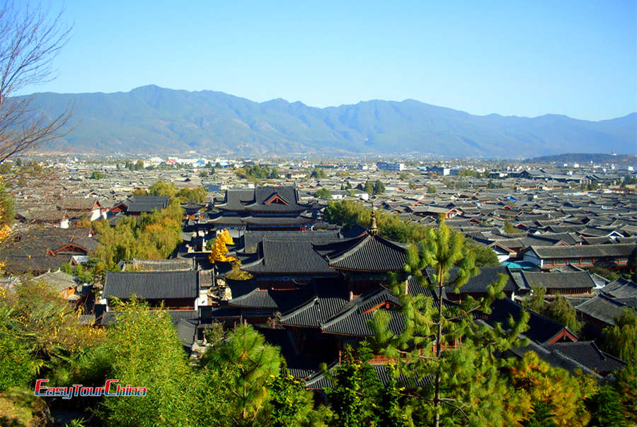 Have a geat panoramic view of Lijinag Old Town - Dayan