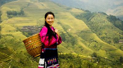 Longji Rice Terraces Yao Girl Guilin Longji Rice Terraces 
