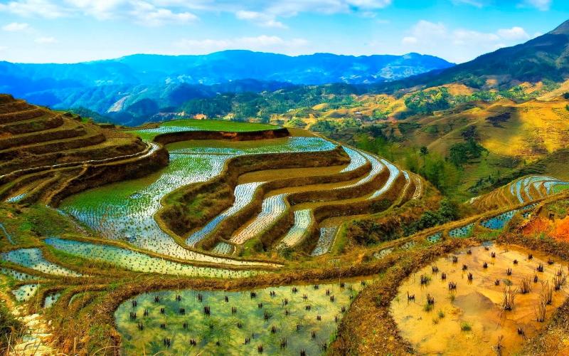 Longji Terraces Listed As Globally Important Agriculture Heritage