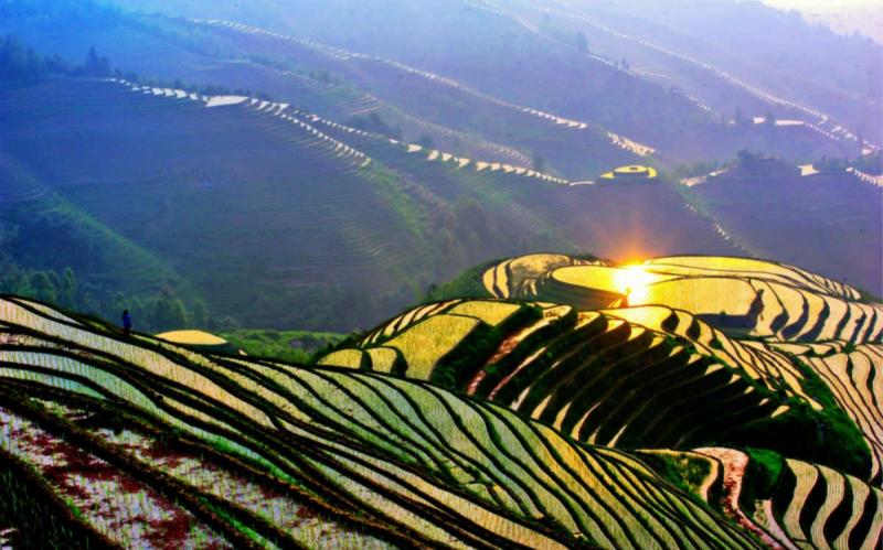 Longji Terraces Listed As Globally Important Agriculture Heritage