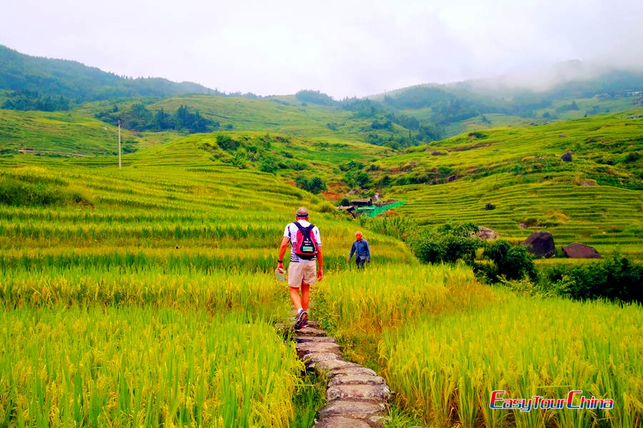 longji rice terrace