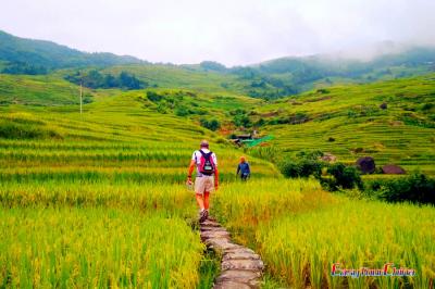 Guilin Longji Rice Terraces