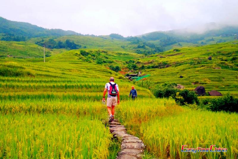 Longji Rice Terrace