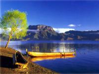 canoe journey tulalip news