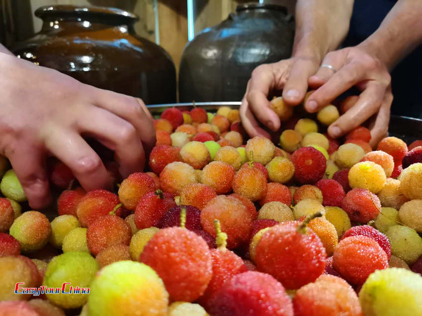 Sour plums prepared to make wine