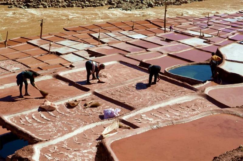 Farmer Work in Salt Field