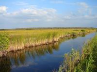 Mangrove National Park