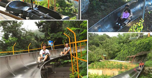 Toboggan Slide Down Mutianyu Great Wall