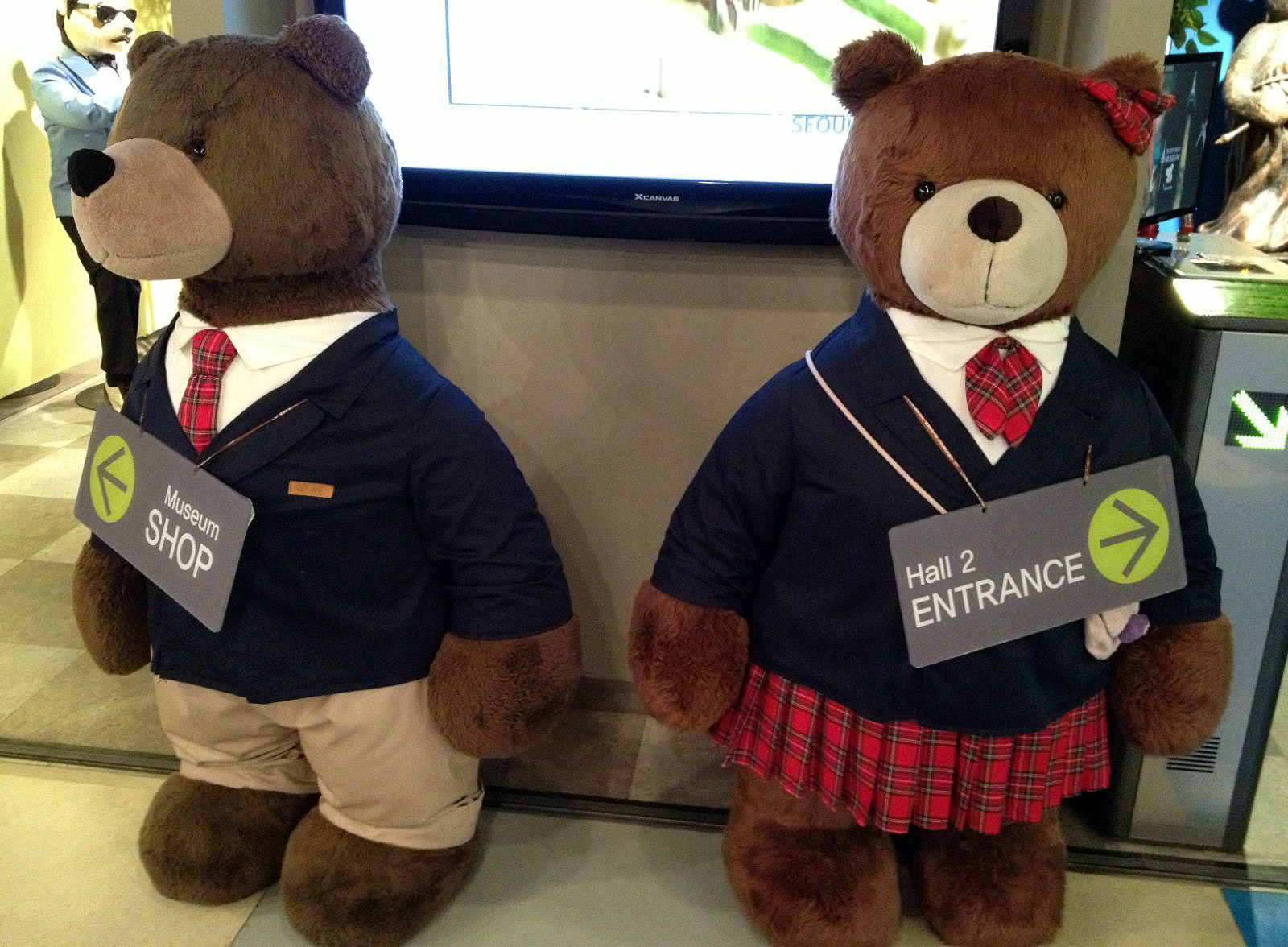 teddy museum