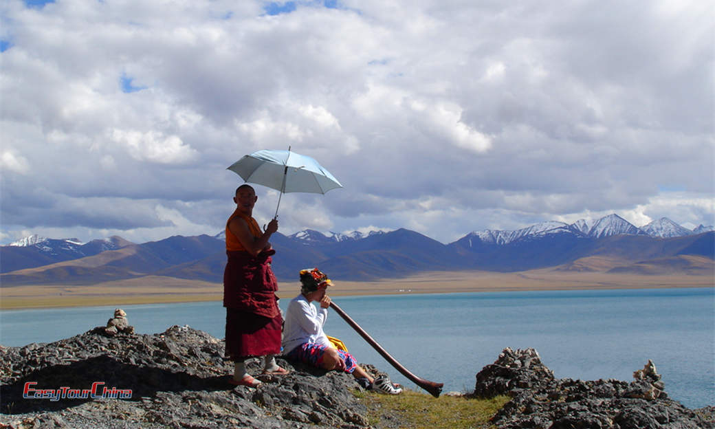 See a lhama at the Namtso Lake