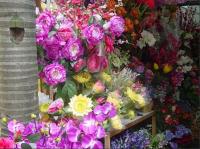 Nanning Bird and Flower Market Flowers