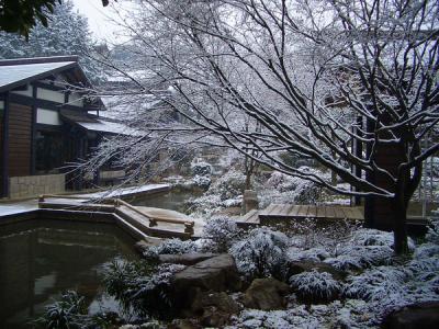 Snow-clad National Tea Museum