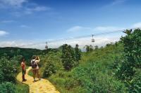 Ngong Ping 360