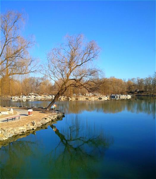 Old Summer Palace