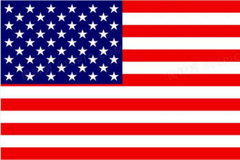 Flag of American