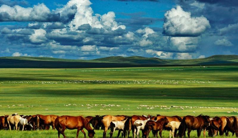 Hulunbuir Prairie Tour