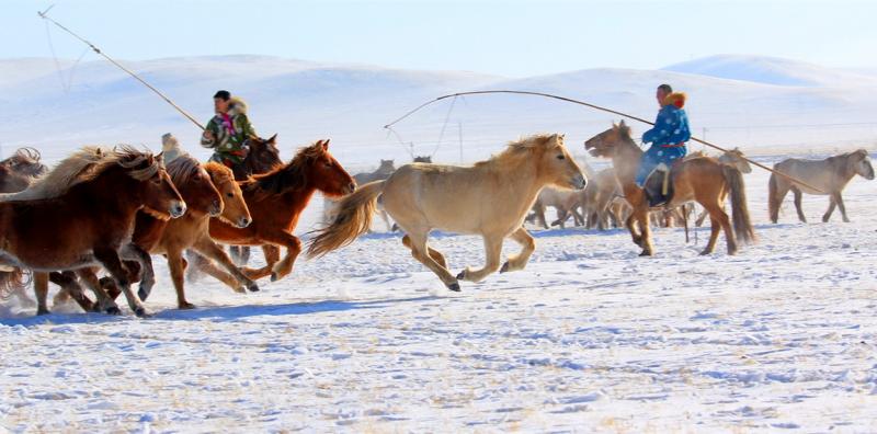 Hulunbuir Prairie Winter