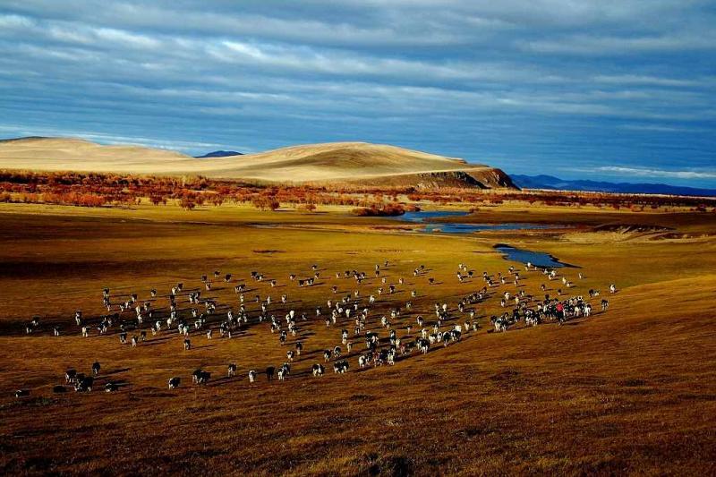 Hulunbuir Prairie Autumn