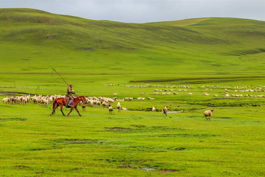 Hulunbuir Grassland tours