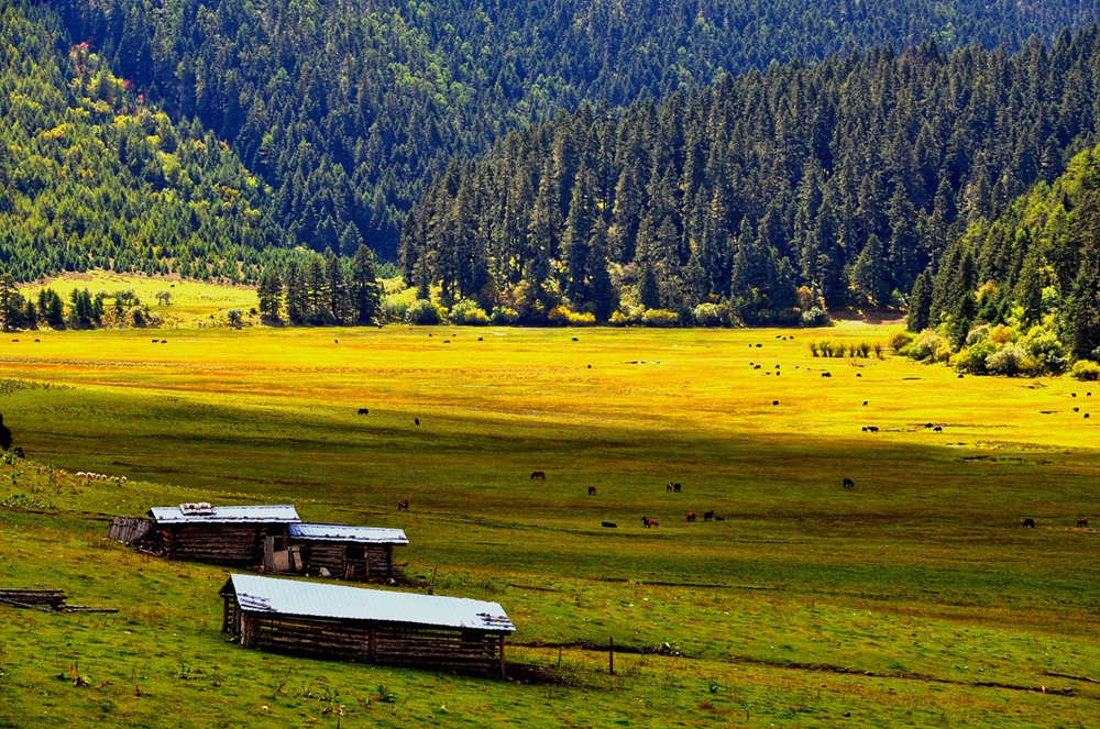 Yunnan tour with Pudacuo National Park
