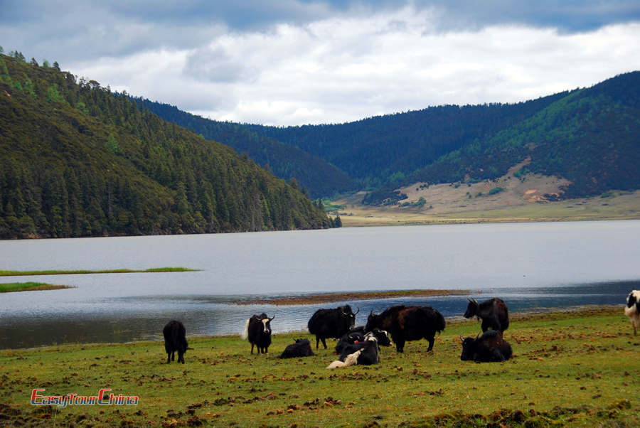 Pudacuo National Park