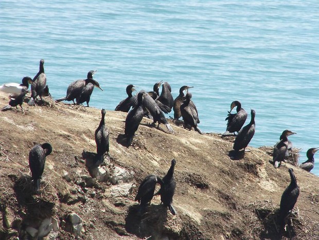 Qinghai Lake