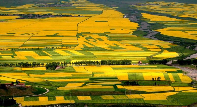 The flower festivels in China