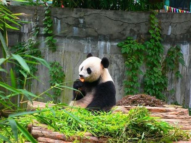 guilin zoo