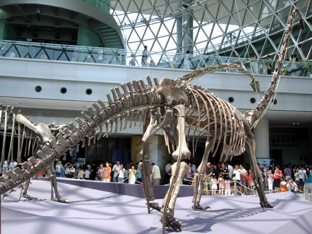 dinosaur skeleton