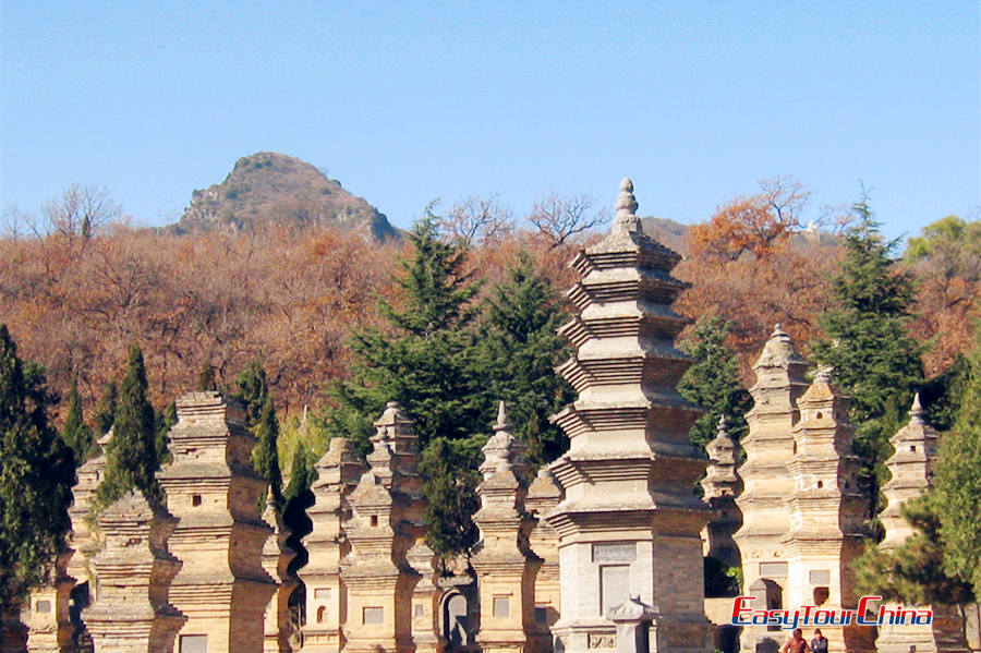 Shaolin Temple