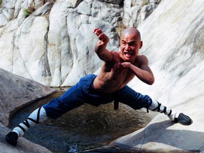Shaoling Kung Fu