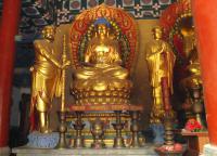 buddha statues in temple