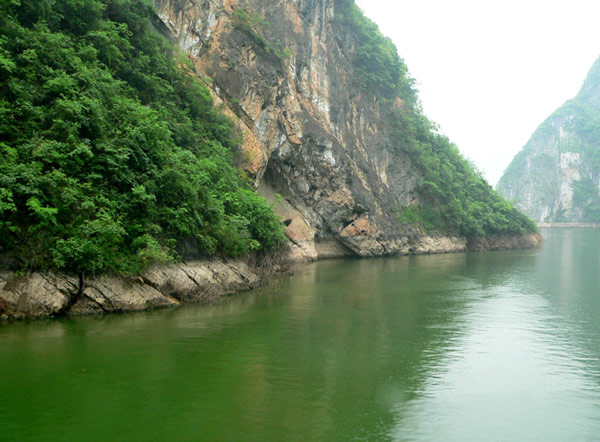 Shennong Stream