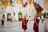 Monks at Shwedagon Pagoda