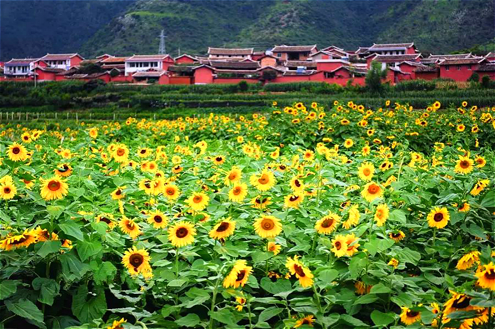 Sichuan Photography Tour