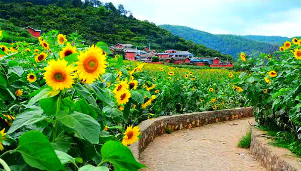 Sichuan Photography Tour