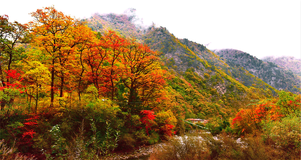 Sichuan Photography Tour