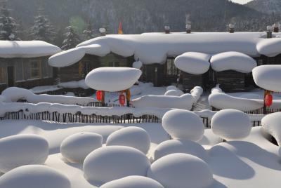 Mushroom Snow