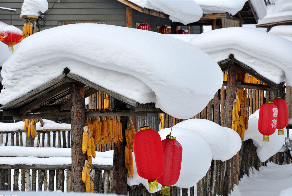 Red lantern and corn