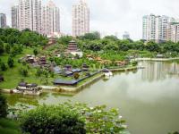 city view shenzhen