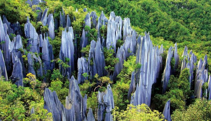 Kunming Stone Forest tours