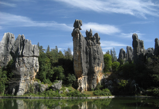 Stone Forest