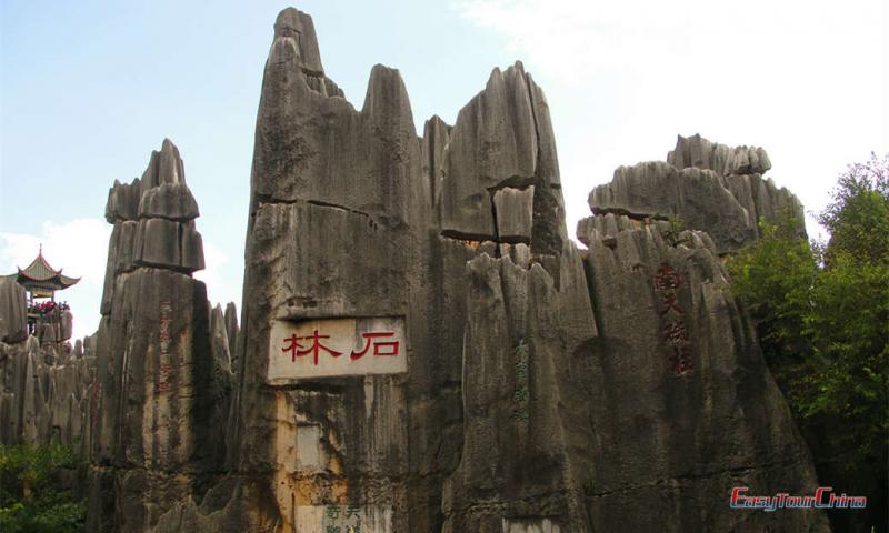 Stone Forest