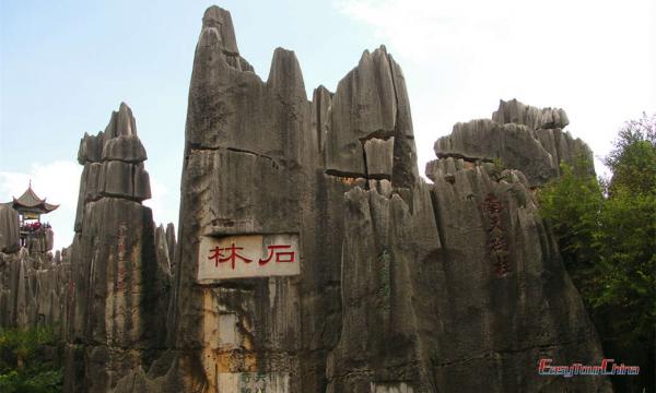 Top things to do in Yunnan - Stone Forest