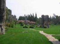 stone forest kunming