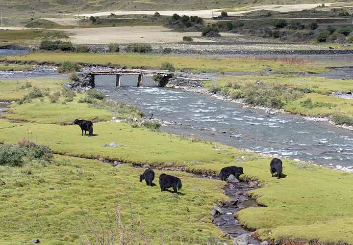 Tagong Grasslands