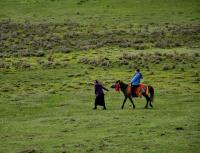 Horse Riding on Grassland